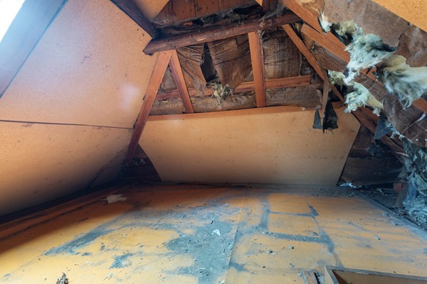 Medium property photo - Suderein 52, 9255 LC Tytsjerk